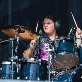 Fittonia, Posada Rock