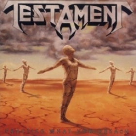 TESTAMENT - PRACTICE WHAT YOU PREACH